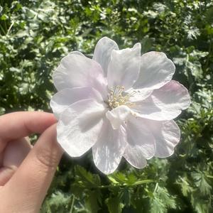 是小郑同学@ 头像