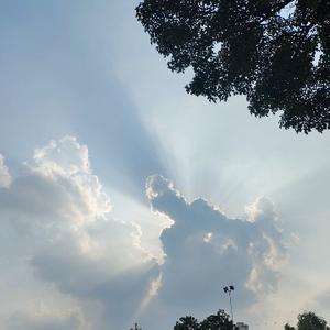 趙小赵1ZTa 头像