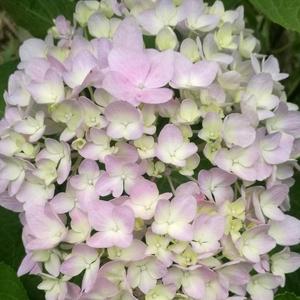 qwertyu开心 头像