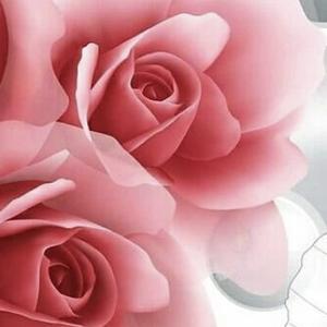 人美心更美的女人 占美女的比率大概是多少 用你看的回答 头条问答