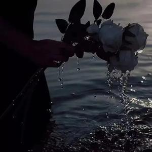 释怀23354文案馆 头像