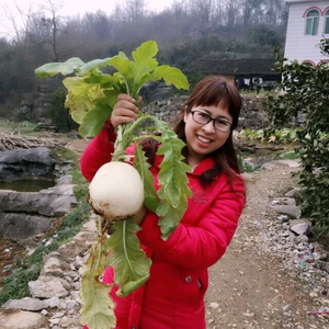 贝妈的美食日常头像