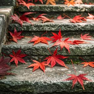 海上看渔火的宾 头像