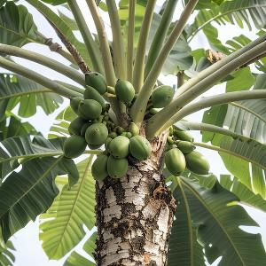 触摸美好希望 头像