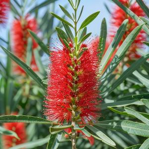 林间漫步乐逍遥 头像