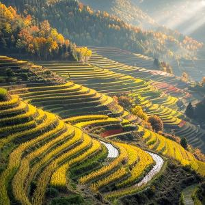 花前陶醉品香者 头像