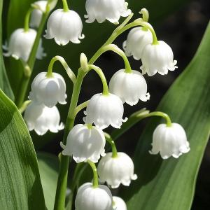 一往无前海浪U 头像