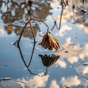 勇往直前的生活家u 头像