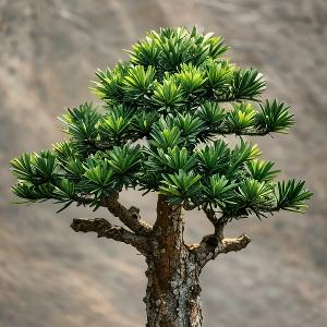 坡上悠然的牧羊 头像