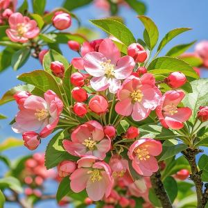 柳荫下享受时光者 头像