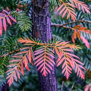 海上豪迈行船的舵手 头像