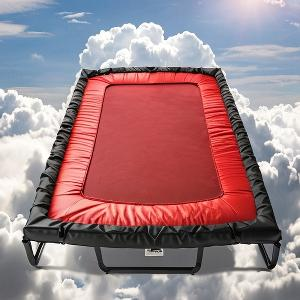 多才饭团Wz 头像