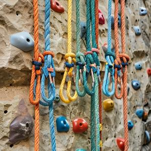 自由的糯米f 头像