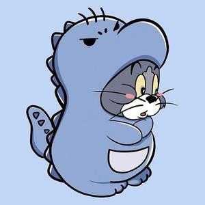 专注东南亚国际物流 头像