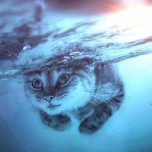 猫道人主修水属性功法 头像