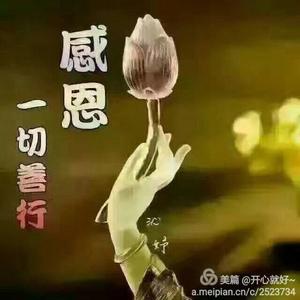 自在焦芬