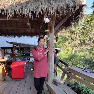 中山古镇啊 头像