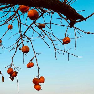 陈叔叔和小朋友 头像