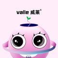 valle音响 头像
