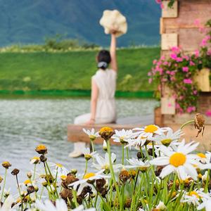 七七老师教数学 头像