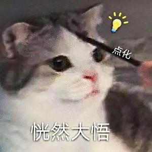 喵喵的猫猫知识 头像