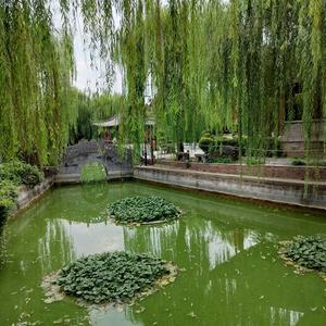 云儿说娱乐 头像