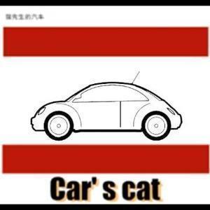 猫先生的汽车