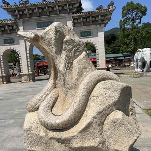 穷游厦门的阿鲤 头像