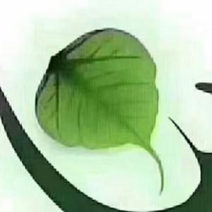披星赶月安环人 头像