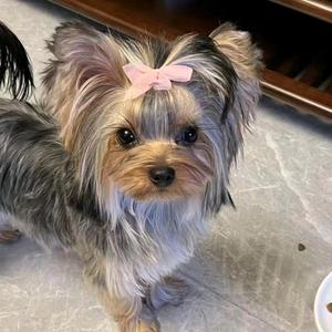 桂香和秋生 头像