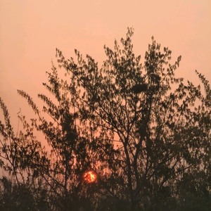 吃冷汤要放花椒油 头像