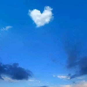 番茄2060906682128909 头像