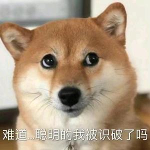蒜皮先生8n6M 头像