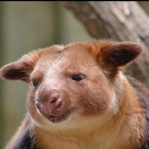 多多生活家 头像