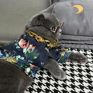 家有一懒猫 头像