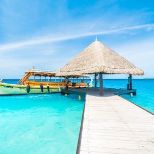 无名小卒LM 头像