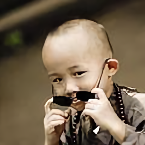 默念妃子笑 头像