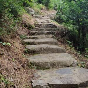 永夜的极光30 头像