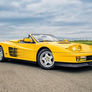 胖胖的一天到晚 头像