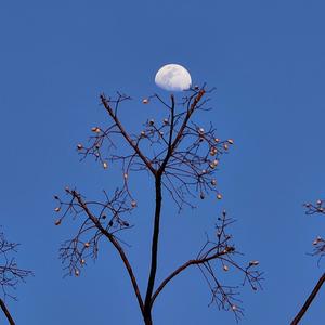 退一步海阔天空 头像