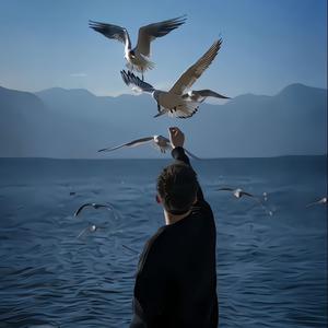 广西大表哥聊车 头像