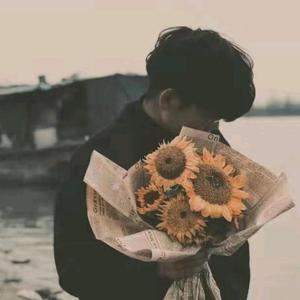 半树染苍海 头像