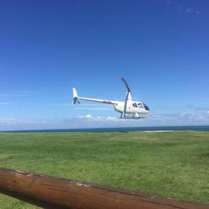 笔墨里的色彩 头像