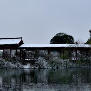 吃茶去的平常心 头像