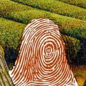 线上艺术馆 头像