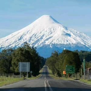 青山因雪白头头像