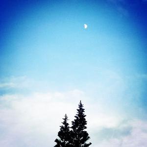 雾霭酉时晴 头像