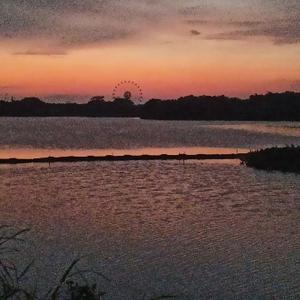 勇敢的随机生成 头像