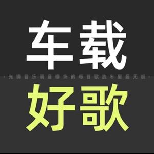 汽车音响调音师y盘头像