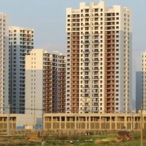 小行娱乐会 头像